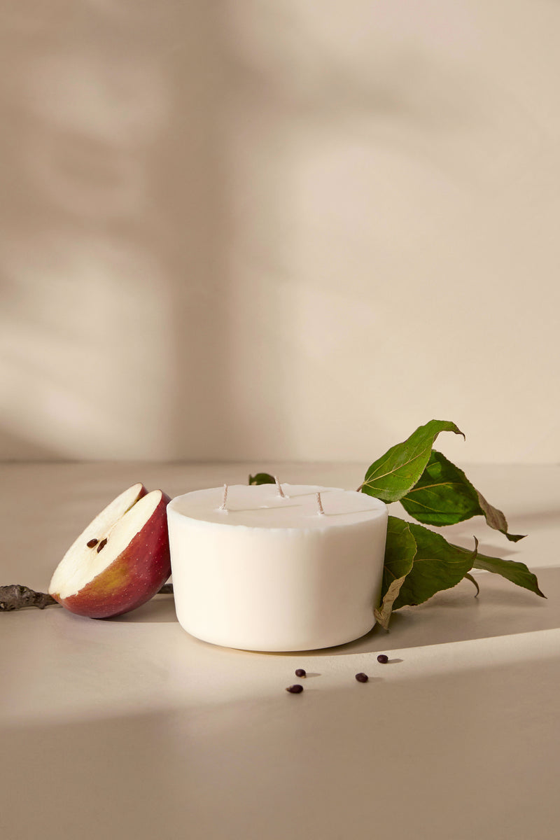 Recharge pour chandelle - Sous le pommier